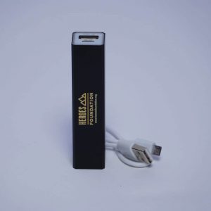 Portable Phone Charger